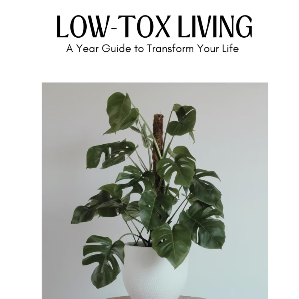 Low-Tox Living Book: A Year Guide To Transform Your Life
