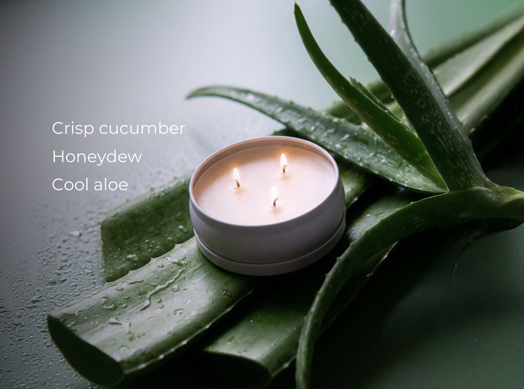 Cucumber Aloe 3-Wick Candle