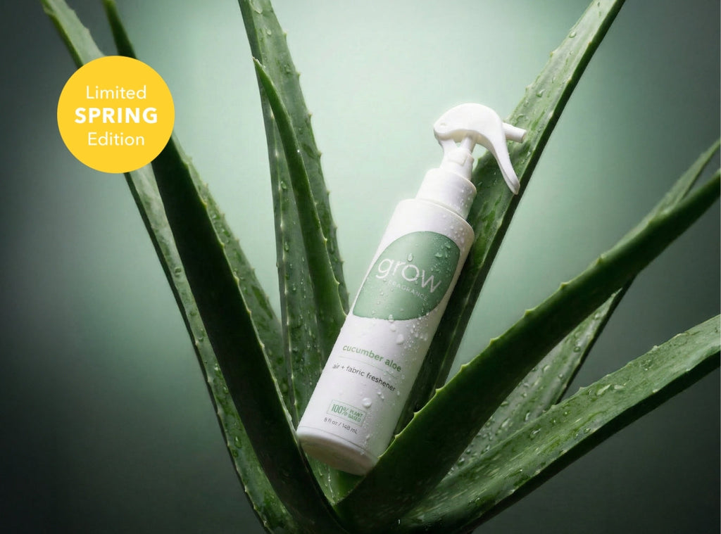 Cucumber Aloe Air + Fabric Spray