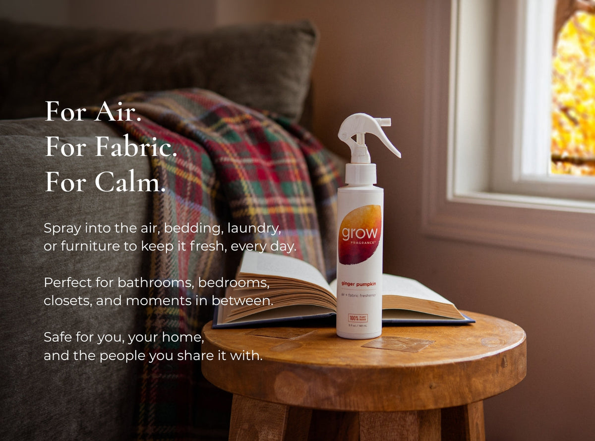 Ginger Pumpkin Air + Fabric Spray