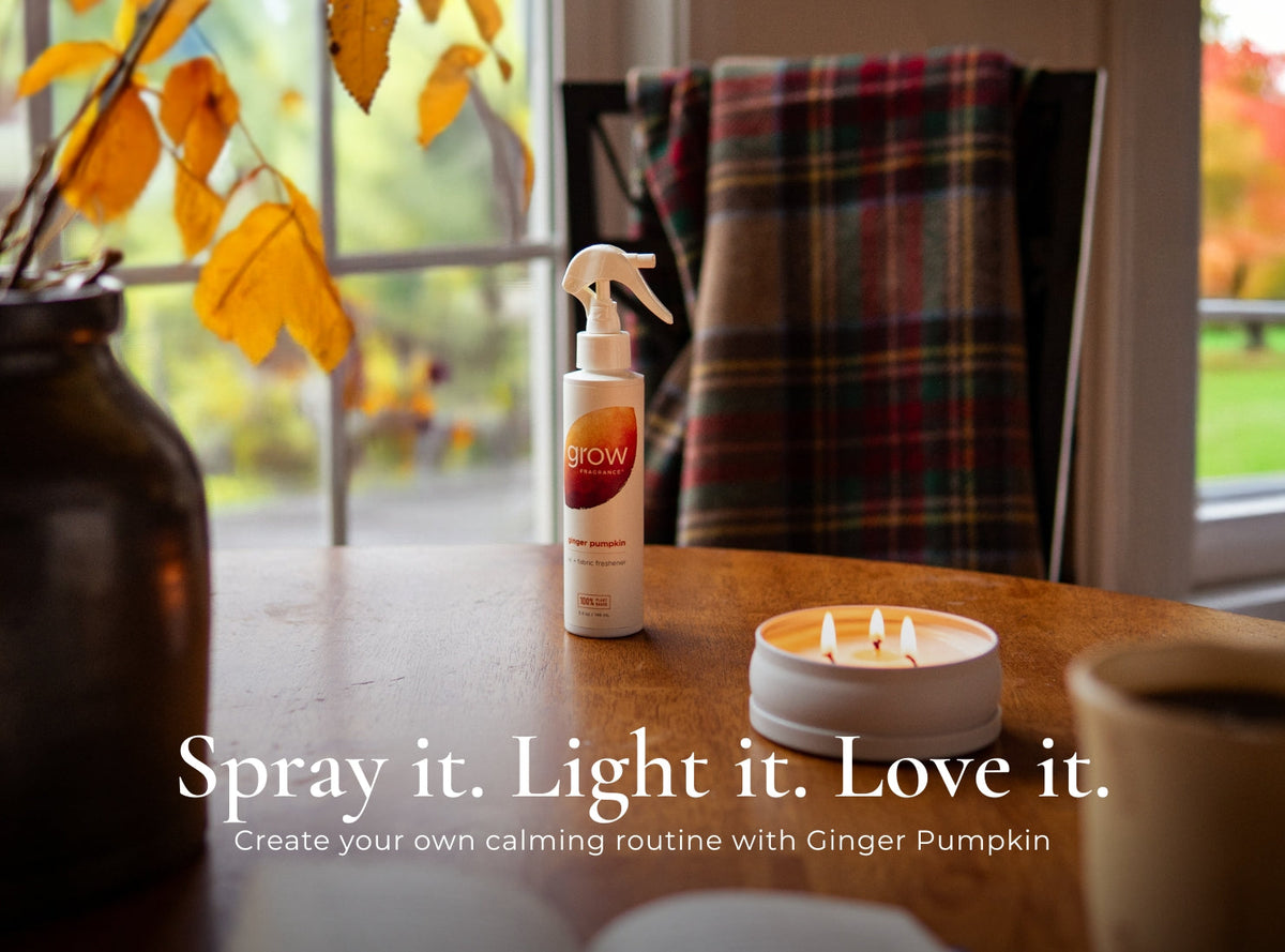 Ginger Pumpkin Air + Fabric Spray