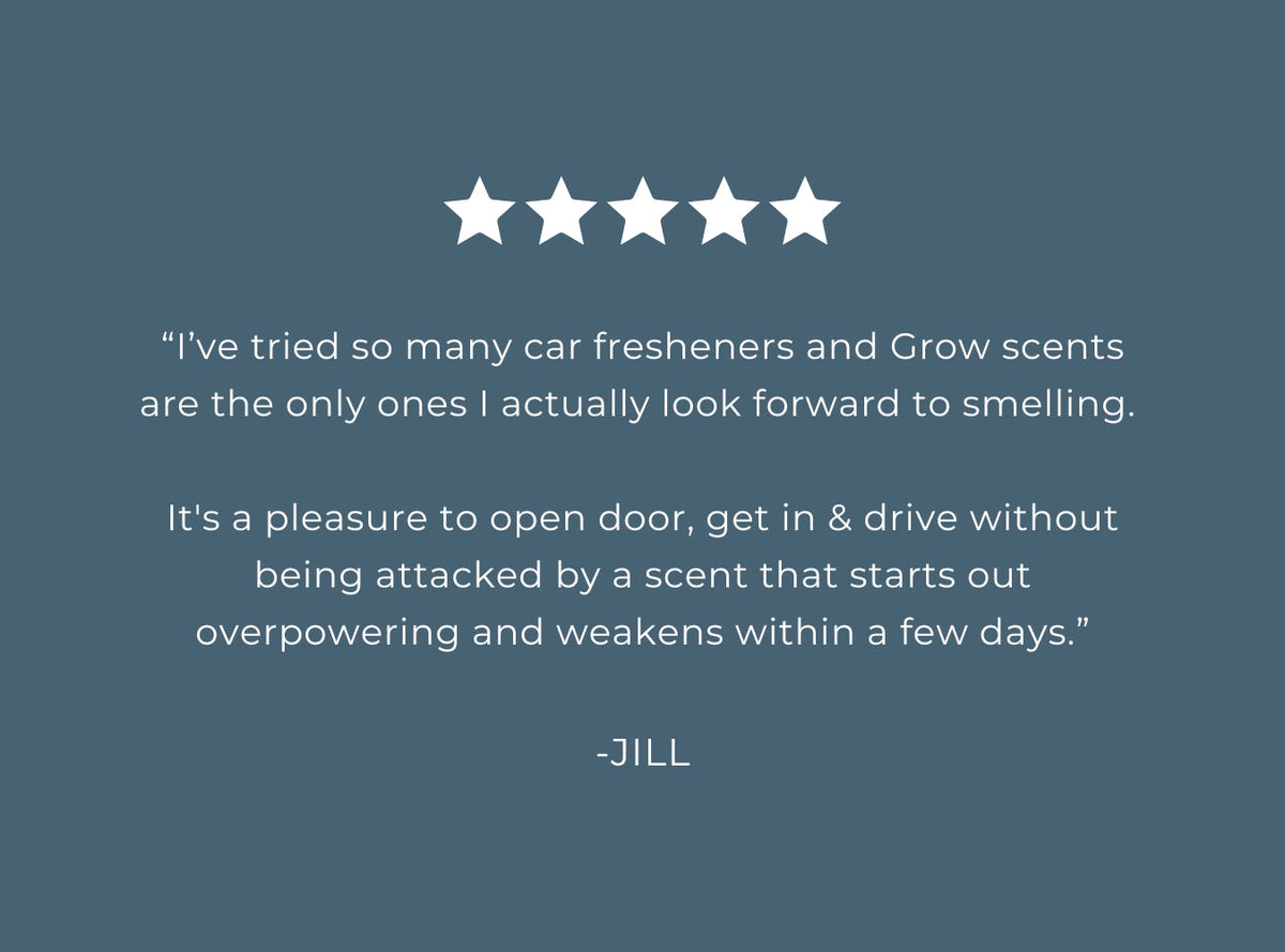 Pacific Driftwood Car Freshener