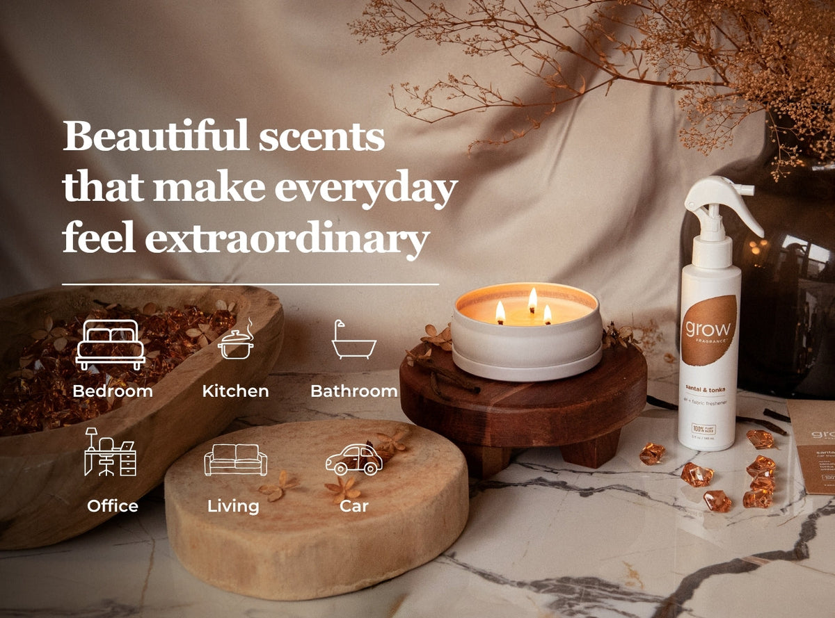 Santal & Tonka Car Freshener