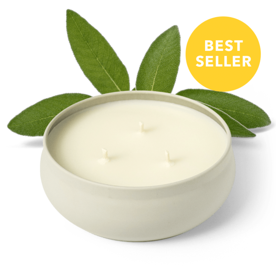 Woodland Sage 3-Wick Candle