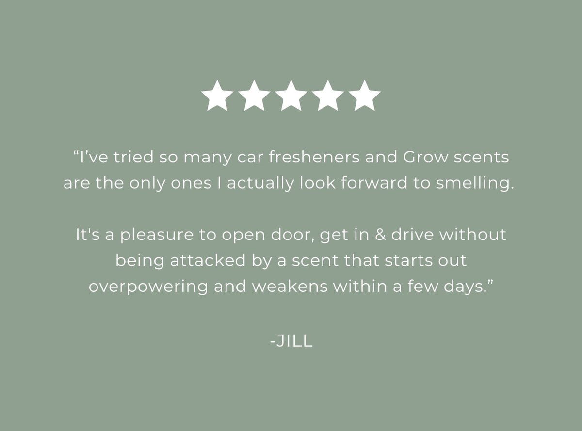 Woodland Sage Car Freshener