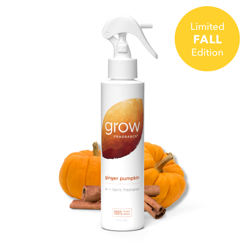 Ginger Pumpkin Air + Fabric Spray